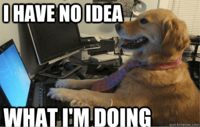meme-i-have-no-idea-what-i-am-doing