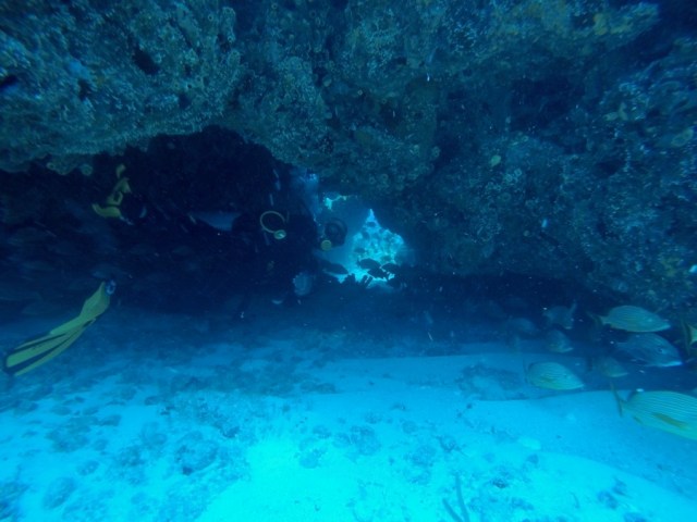 DCIM100GOPROGOPR2388.