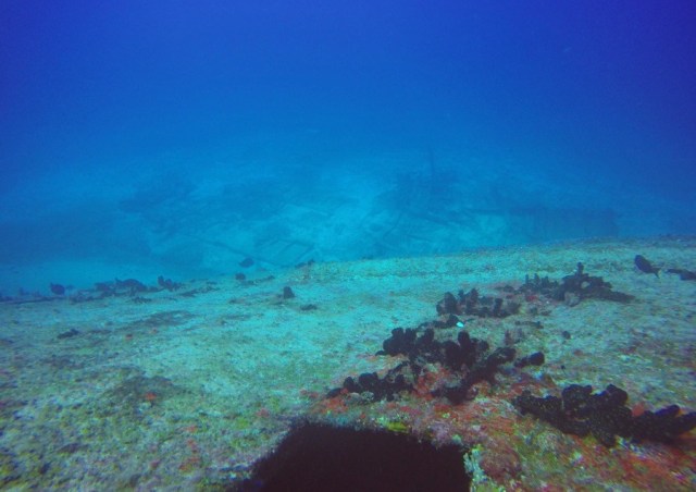 DCIM100GOPROGOPR2533.