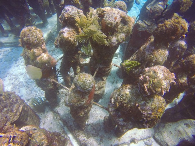 DCIM100GOPROGOPR2606.