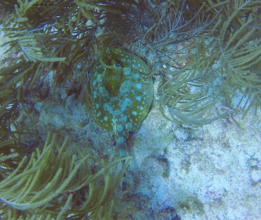 DCIM100GOPROGOPR2696.