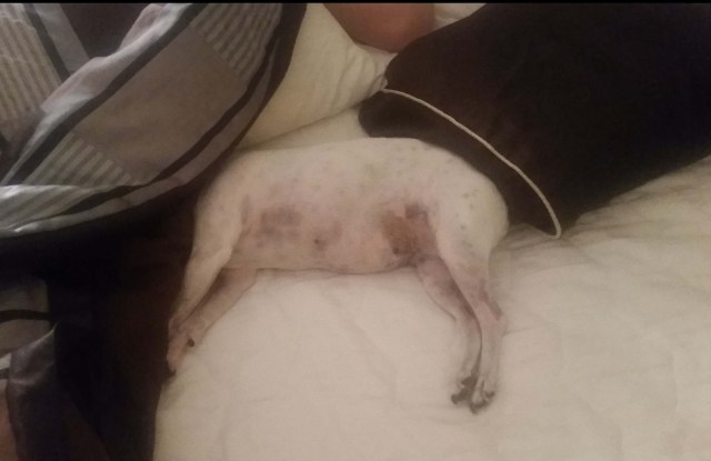 SmartSelect_20180926-111227_Samsung Experience Home.jpg