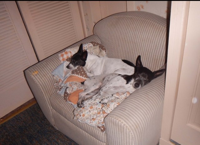 SmartSelect_20180926-111418_Samsung Experience Home.jpg