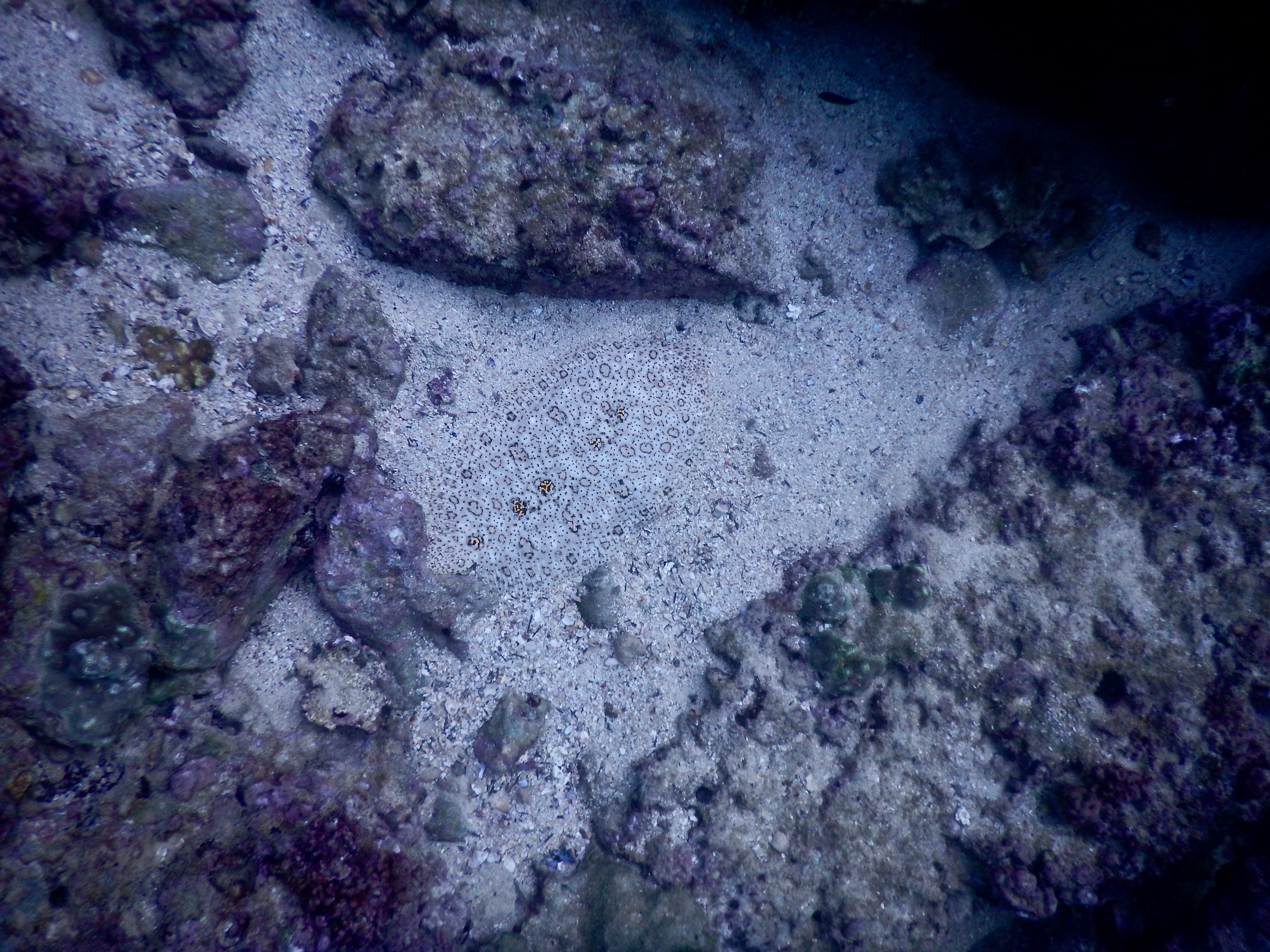 This image has an empty alt attribute; its file name is dscn7744-1.jpeg