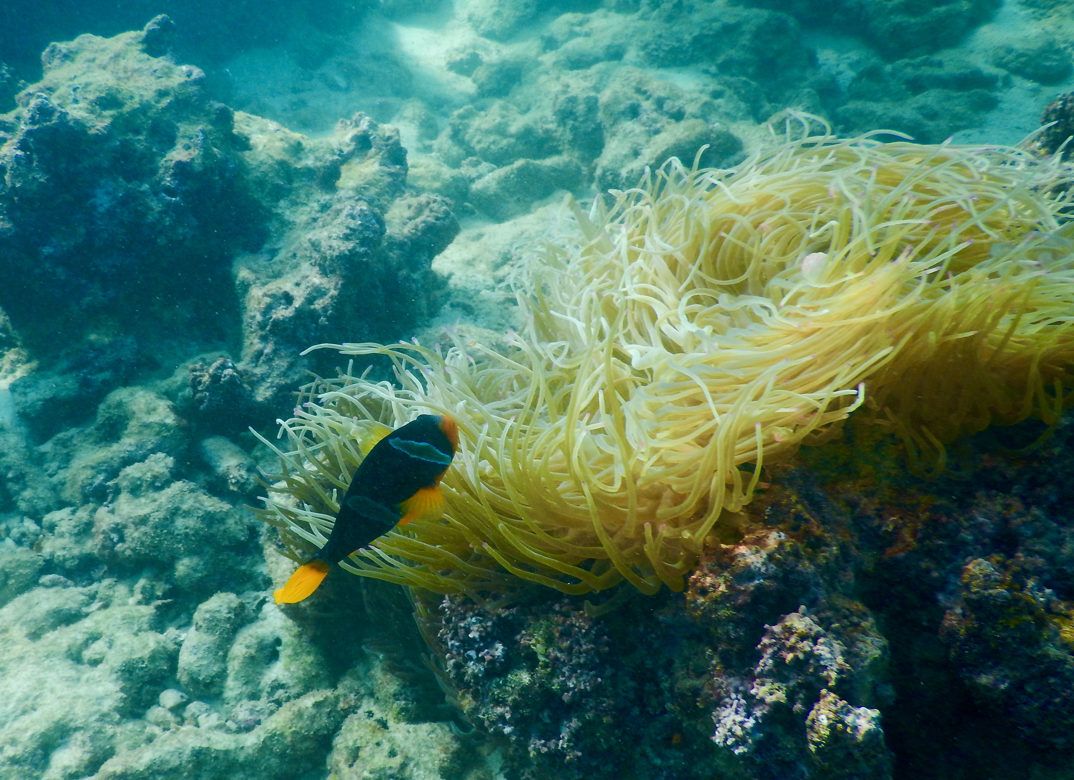 This image has an empty alt attribute; its file name is dscn7768-1.jpeg