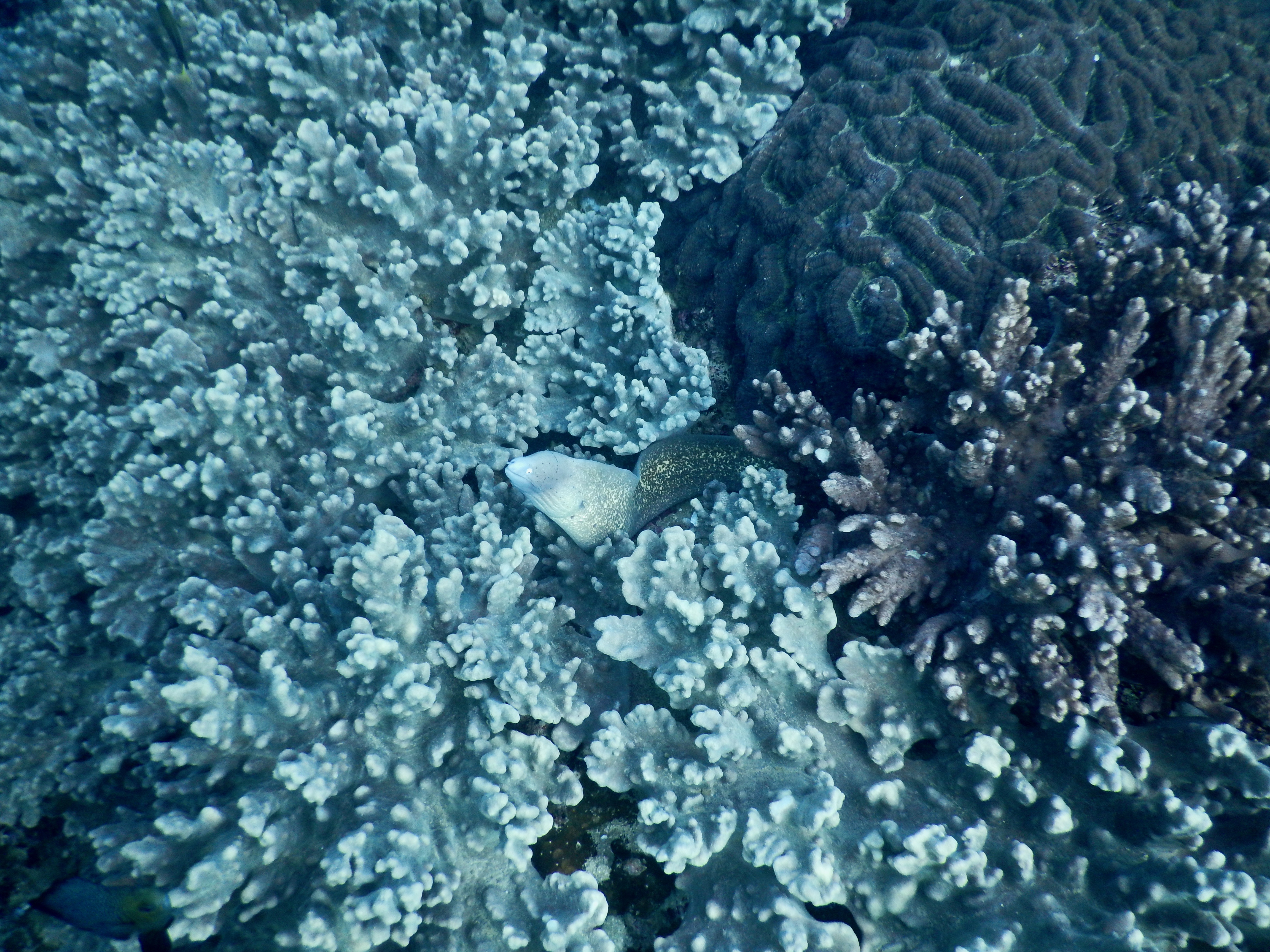 This image has an empty alt attribute; its file name is dscn7798-1.jpeg