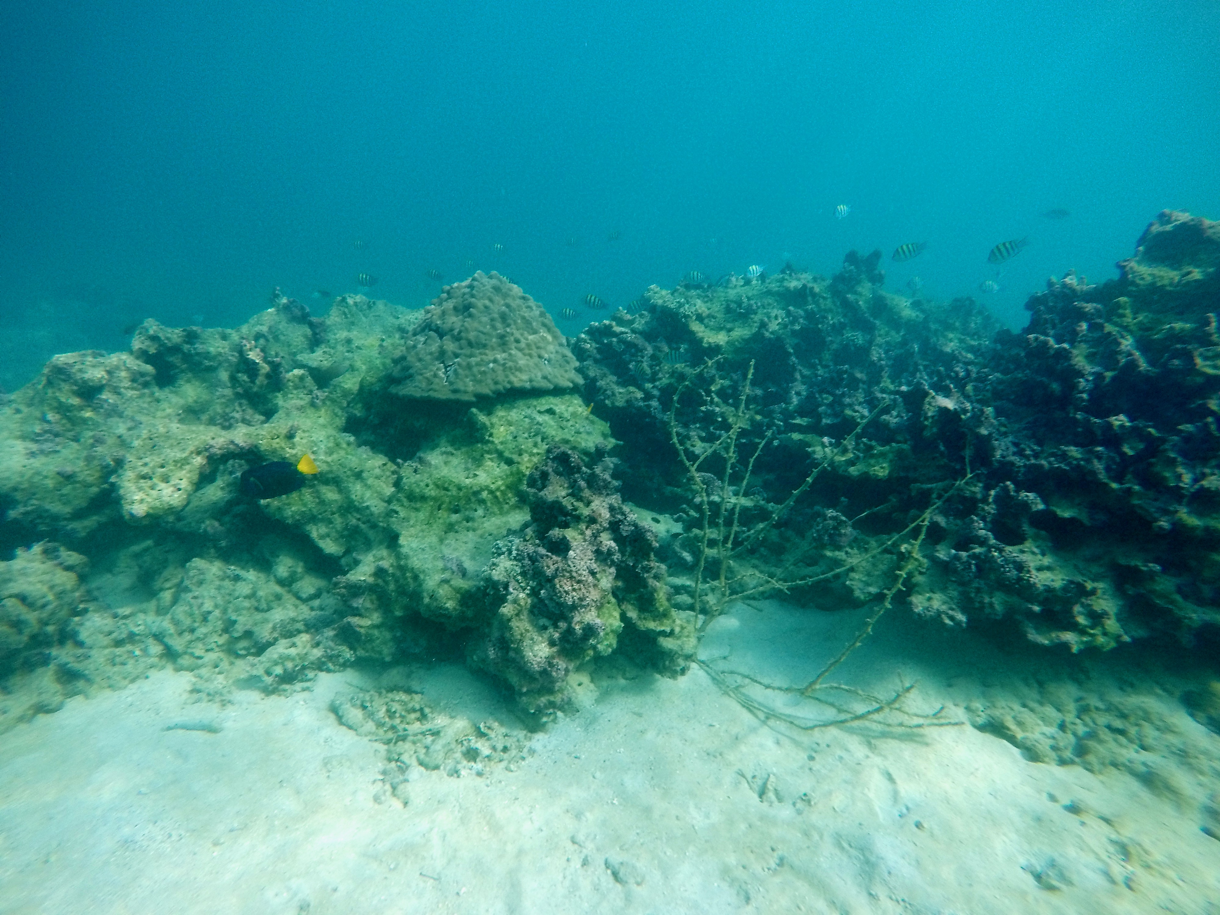 This image has an empty alt attribute; its file name is gopr3448-1.jpeg