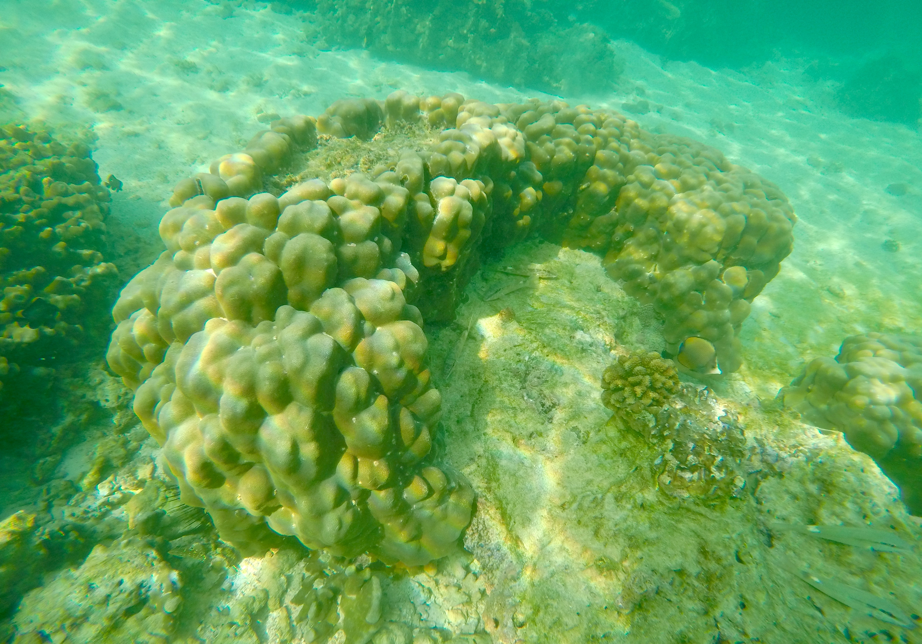 This image has an empty alt attribute; its file name is gopr3645-1.jpeg