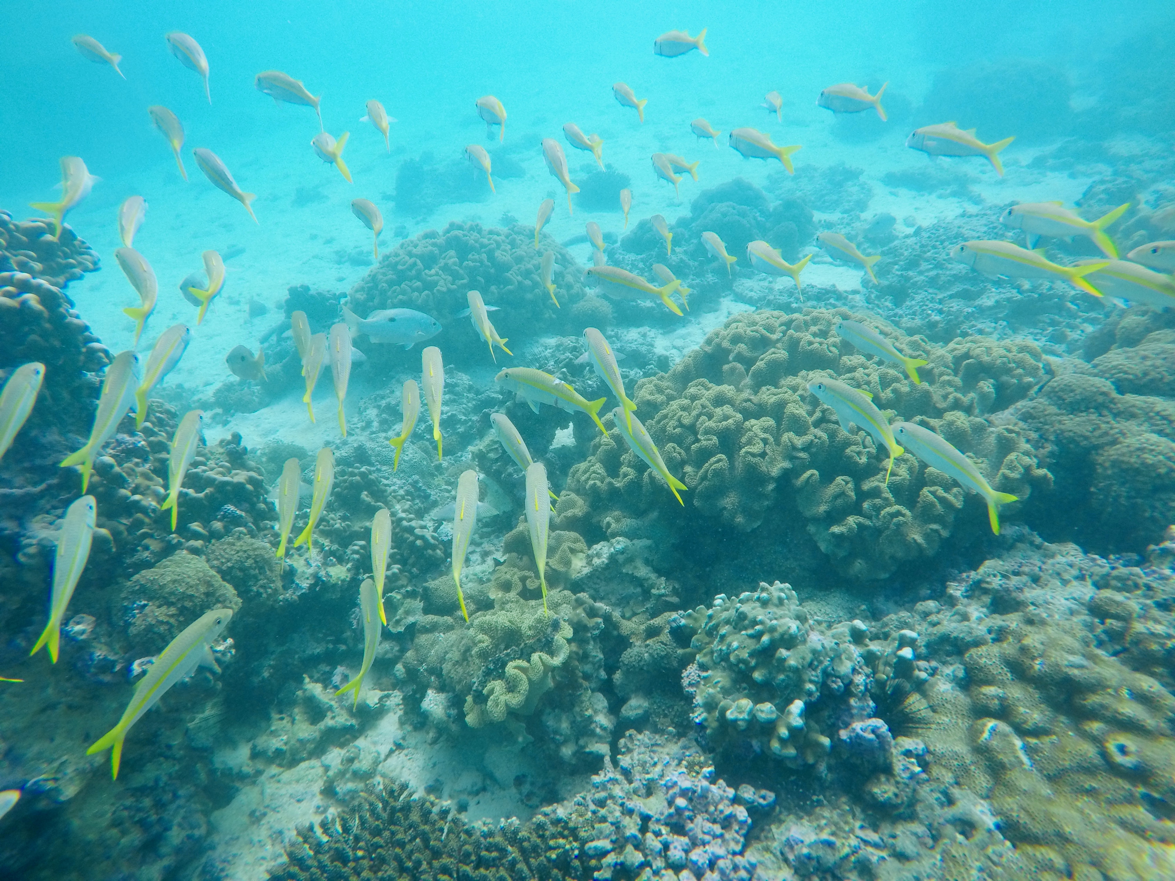 This image has an empty alt attribute; its file name is gopr3669-1.jpeg